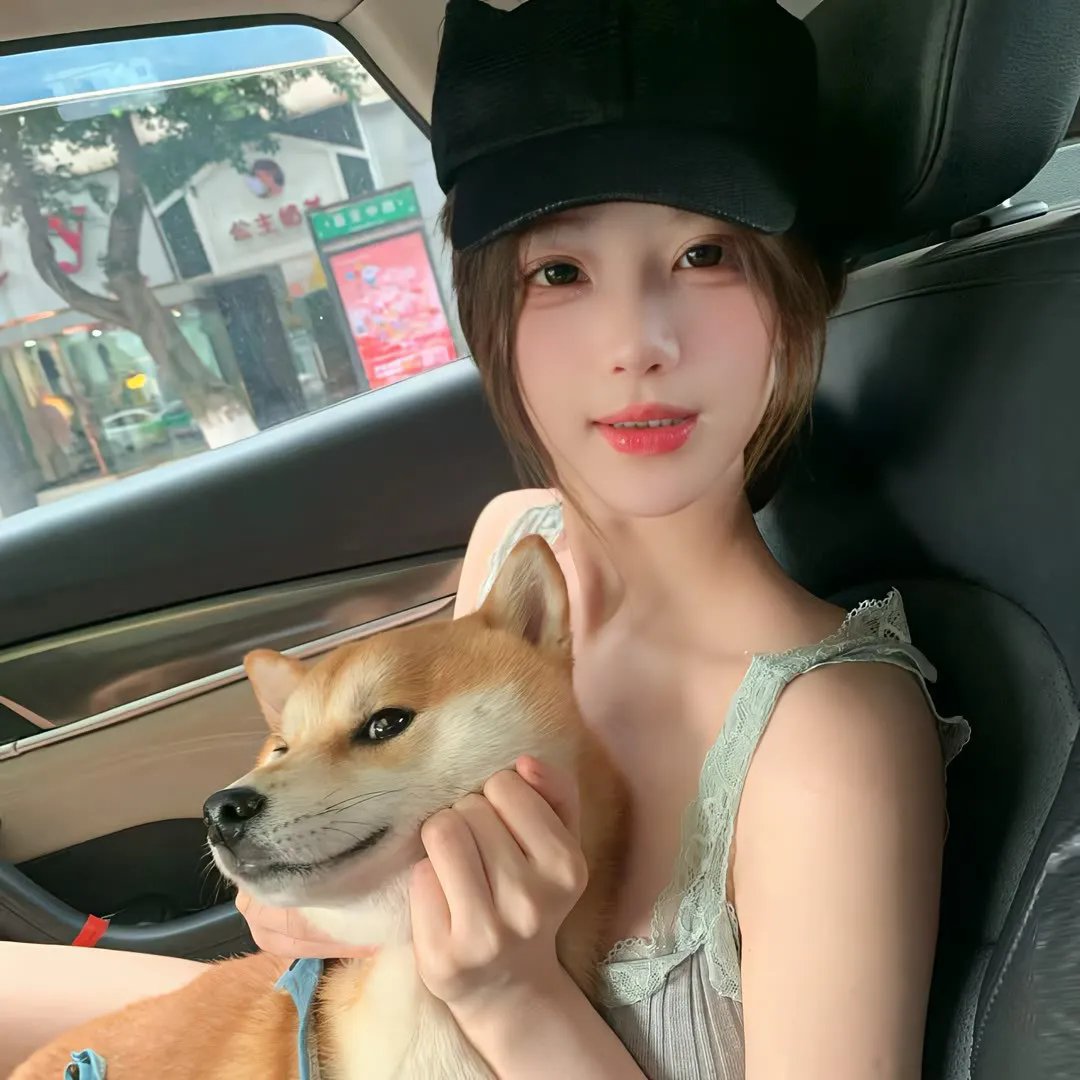 乘龙怪婿第四季